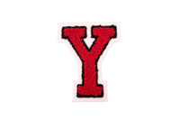 CHENILLE LETTER Y